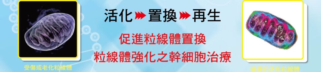 9edf48_ee61229b011d47a189d4f73ea1fc13ea~mv2